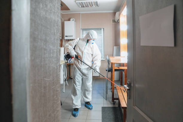 Mold Odor Removal Services in Cabool, MO